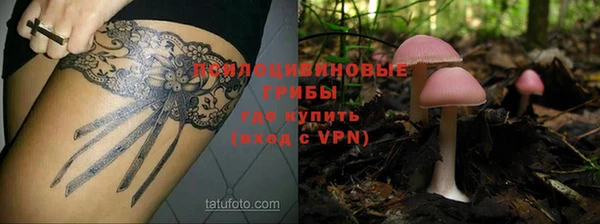 таблы Гусь-Хрустальный