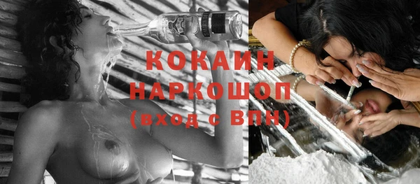 прущие крисы Гусев